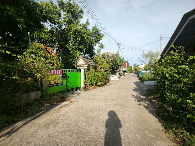 ประกาศฟรี! ซื้อ-ขาย-เช่า คอนโด บ้าน ทาวน์โฮม ที่ดิน และพื้นที่เชิงพาณิชย์ทั่วประเทศไทย ทุกทำเล ทุกงบประมาณ ไม่มีค่าใช้จ่าย ลงง่าย ขายไว เข้าถึงผู้ซื้อโดยตรง 4 516052pic3.jpg