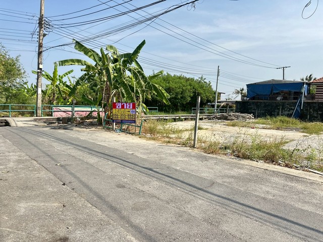 ประกาศฟรี! ซื้อ-ขาย-เช่า คอนโด บ้าน ทาวน์โฮม ที่ดิน และพื้นที่เชิงพาณิชย์ทั่วประเทศไทย ทุกทำเล ทุกงบประมาณ ไม่มีค่าใช้จ่าย ลงง่าย ขายไว เข้าถึงผู้ซื้อโดยตรง 3 515033pic2.jpg