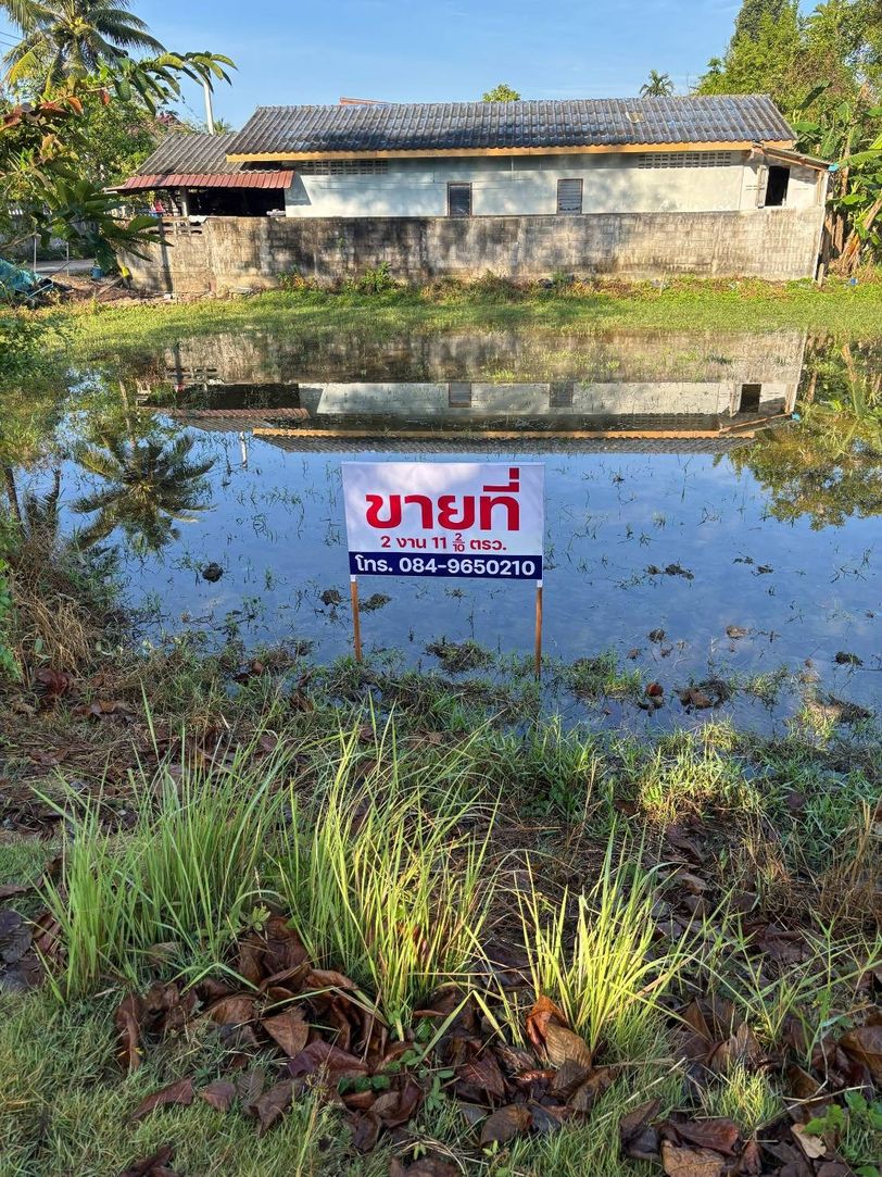 ประกาศฟรี! ซื้อ-ขาย-เช่า คอนโด บ้าน ทาวน์โฮม ที่ดิน และพื้นที่เชิงพาณิชย์ทั่วประเทศไทย ทุกทำเล ทุกงบประมาณ ไม่มีค่าใช้จ่าย ลงง่าย ขายไว เข้าถึงผู้ซื้อโดยตรง 2 316227pic1.jpg