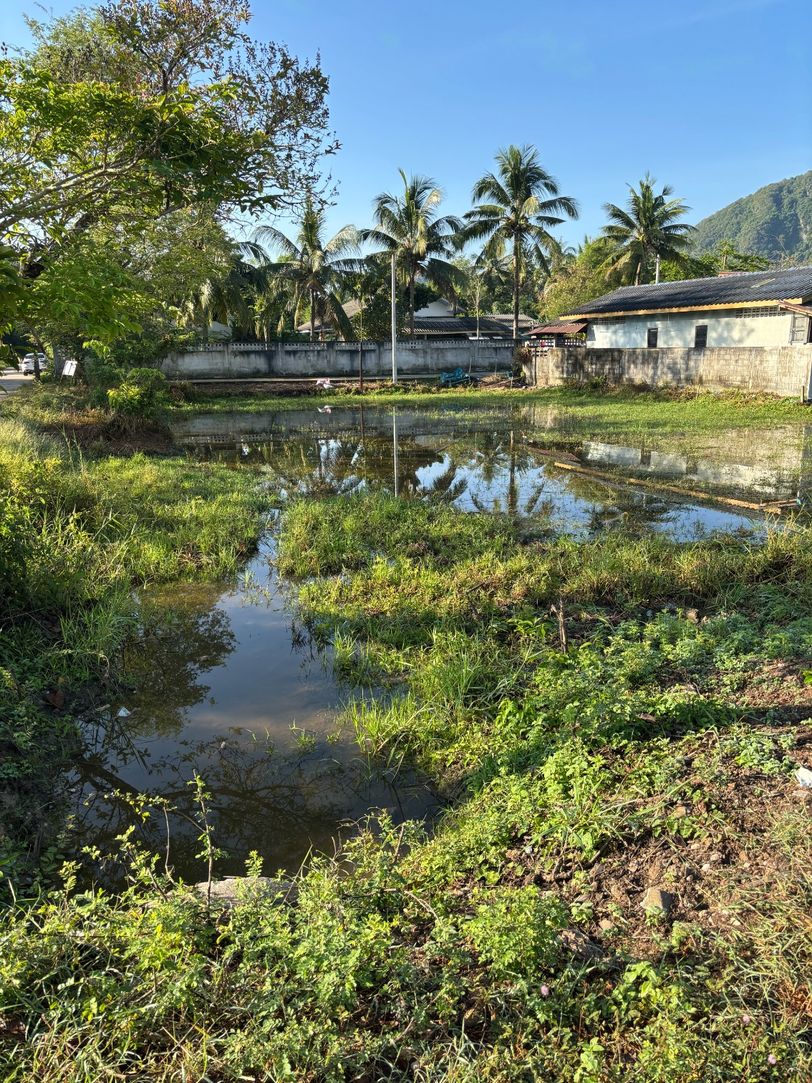 ประกาศฟรี! ซื้อ-ขาย-เช่า คอนโด บ้าน ทาวน์โฮม ที่ดิน และพื้นที่เชิงพาณิชย์ทั่วประเทศไทย ทุกทำเล ทุกงบประมาณ ไม่มีค่าใช้จ่าย ลงง่าย ขายไว เข้าถึงผู้ซื้อโดยตรง 3 316227pic2.jpg