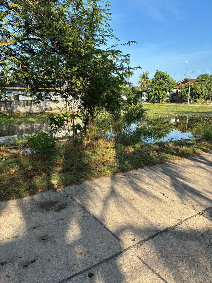 ประกาศฟรี! ซื้อ-ขาย-เช่า คอนโด บ้าน ทาวน์โฮม ที่ดิน และพื้นที่เชิงพาณิชย์ทั่วประเทศไทย ทุกทำเล ทุกงบประมาณ ไม่มีค่าใช้จ่าย ลงง่าย ขายไว เข้าถึงผู้ซื้อโดยตรง 4 316227pic3.jpg