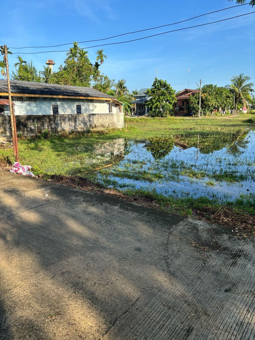 ประกาศฟรี! ซื้อ-ขาย-เช่า คอนโด บ้าน ทาวน์โฮม ที่ดิน และพื้นที่เชิงพาณิชย์ทั่วประเทศไทย ทุกทำเล ทุกงบประมาณ ไม่มีค่าใช้จ่าย ลงง่าย ขายไว เข้าถึงผู้ซื้อโดยตรง 5 316227pic4.jpg