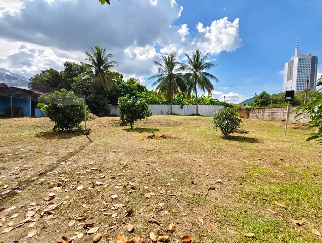 ประกาศฟรี! ซื้อ-ขาย-เช่า คอนโด บ้าน ทาวน์โฮม ที่ดิน และพื้นที่เชิงพาณิชย์ทั่วประเทศไทย ทุกทำเล ทุกงบประมาณ ไม่มีค่าใช้จ่าย ลงง่าย ขายไว เข้าถึงผู้ซื้อโดยตรง 2 316238pic1.jpg