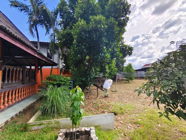 ประกาศฟรี! ซื้อ-ขาย-เช่า คอนโด บ้าน ทาวน์โฮม ที่ดิน และพื้นที่เชิงพาณิชย์ทั่วประเทศไทย ทุกทำเล ทุกงบประมาณ ไม่มีค่าใช้จ่าย ลงง่าย ขายไว เข้าถึงผู้ซื้อโดยตรง 3 316238pic2.jpg