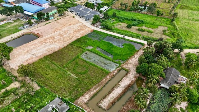 ประกาศฟรี! ซื้อ-ขาย-เช่า คอนโด บ้าน ทาวน์โฮม ที่ดิน และพื้นที่เชิงพาณิชย์ทั่วประเทศไทย ทุกทำเล ทุกงบประมาณ ไม่มีค่าใช้จ่าย ลงง่าย ขายไว เข้าถึงผู้ซื้อโดยตรง 3 297970pic2.jpg