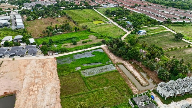 ประกาศฟรี! ซื้อ-ขาย-เช่า คอนโด บ้าน ทาวน์โฮม ที่ดิน และพื้นที่เชิงพาณิชย์ทั่วประเทศไทย ทุกทำเล ทุกงบประมาณ ไม่มีค่าใช้จ่าย ลงง่าย ขายไว เข้าถึงผู้ซื้อโดยตรง 4 297970pic3.jpg