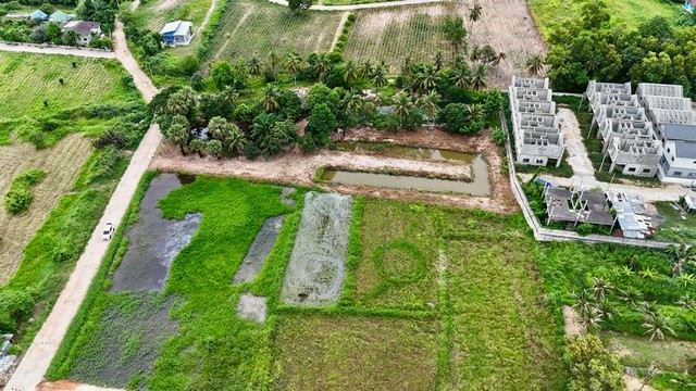 ประกาศฟรี! ซื้อ-ขาย-เช่า คอนโด บ้าน ทาวน์โฮม ที่ดิน และพื้นที่เชิงพาณิชย์ทั่วประเทศไทย ทุกทำเล ทุกงบประมาณ ไม่มีค่าใช้จ่าย ลงง่าย ขายไว เข้าถึงผู้ซื้อโดยตรง 5 297970pic4.jpg