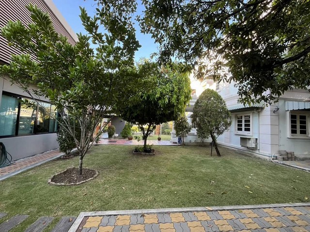 ประกาศฟรี! ซื้อ-ขาย-เช่า คอนโด บ้าน ทาวน์โฮม ที่ดิน และพื้นที่เชิงพาณิชย์ทั่วประเทศไทย ทุกทำเล ทุกงบประมาณ ไม่มีค่าใช้จ่าย ลงง่าย ขายไว เข้าถึงผู้ซื้อโดยตรง 5 508150pic4.jpg