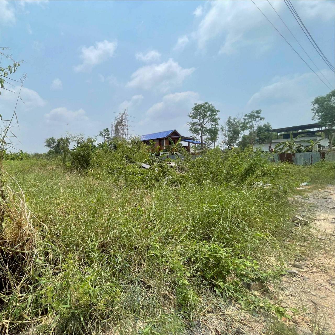 ประกาศฟรี! ซื้อ-ขาย-เช่า คอนโด บ้าน ทาวน์โฮม ที่ดิน และพื้นที่เชิงพาณิชย์ทั่วประเทศไทย ทุกทำเล ทุกงบประมาณ ไม่มีค่าใช้จ่าย ลงง่าย ขายไว เข้าถึงผู้ซื้อโดยตรง 4 316292pic3.jpg