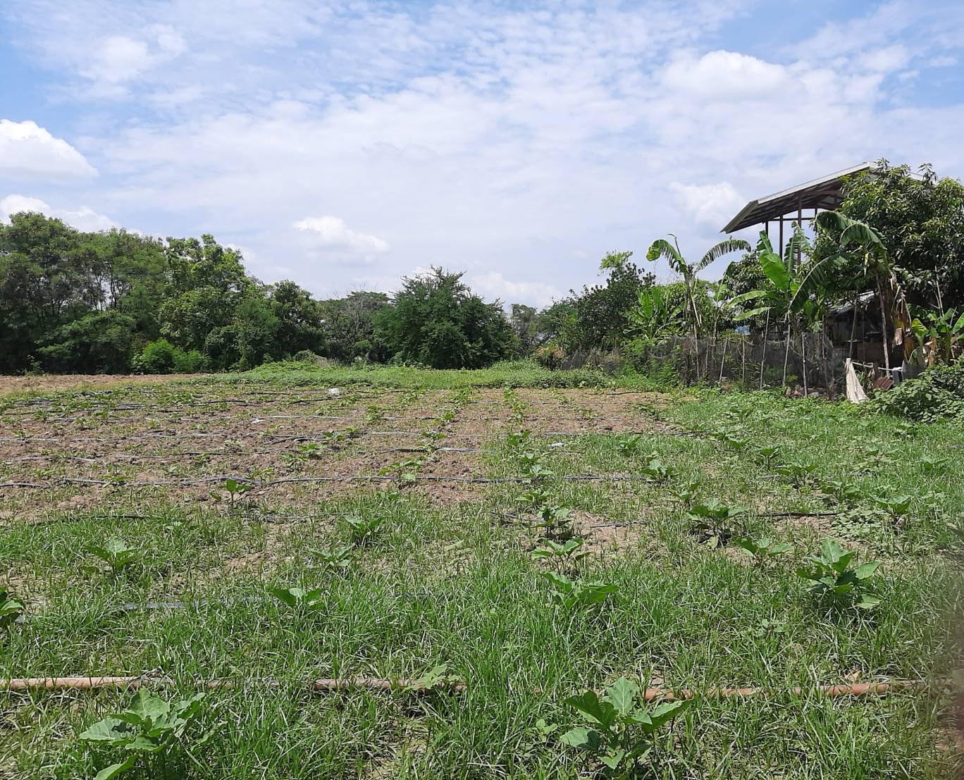 ประกาศฟรี! ซื้อ-ขาย-เช่า คอนโด บ้าน ทาวน์โฮม ที่ดิน และพื้นที่เชิงพาณิชย์ทั่วประเทศไทย ทุกทำเล ทุกงบประมาณ ไม่มีค่าใช้จ่าย ลงง่าย ขายไว เข้าถึงผู้ซื้อโดยตรง 4 294195pic3.jpg