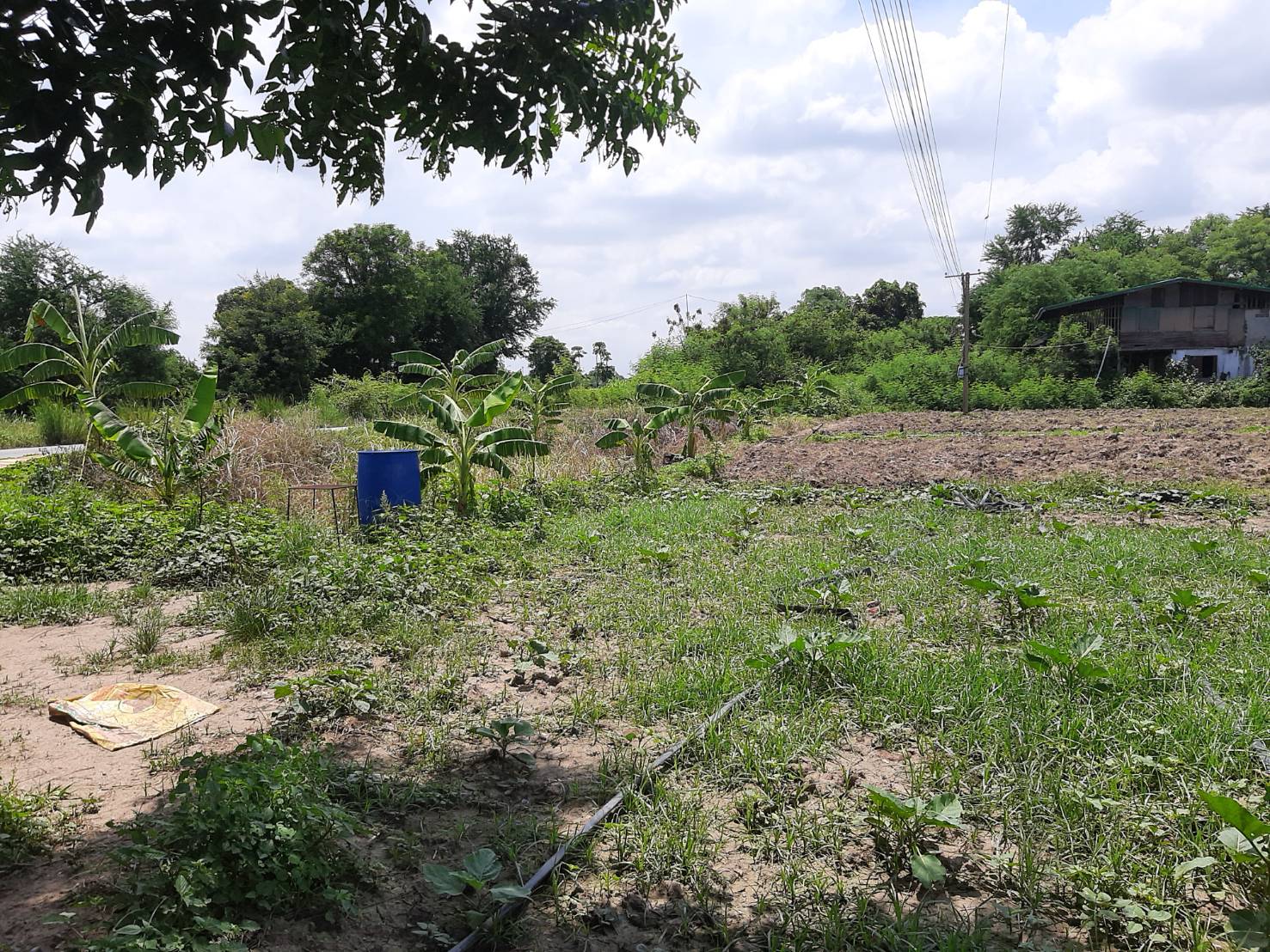 ประกาศฟรี! ซื้อ-ขาย-เช่า คอนโด บ้าน ทาวน์โฮม ที่ดิน และพื้นที่เชิงพาณิชย์ทั่วประเทศไทย ทุกทำเล ทุกงบประมาณ ไม่มีค่าใช้จ่าย ลงง่าย ขายไว เข้าถึงผู้ซื้อโดยตรง 5 294195pic4.jpg