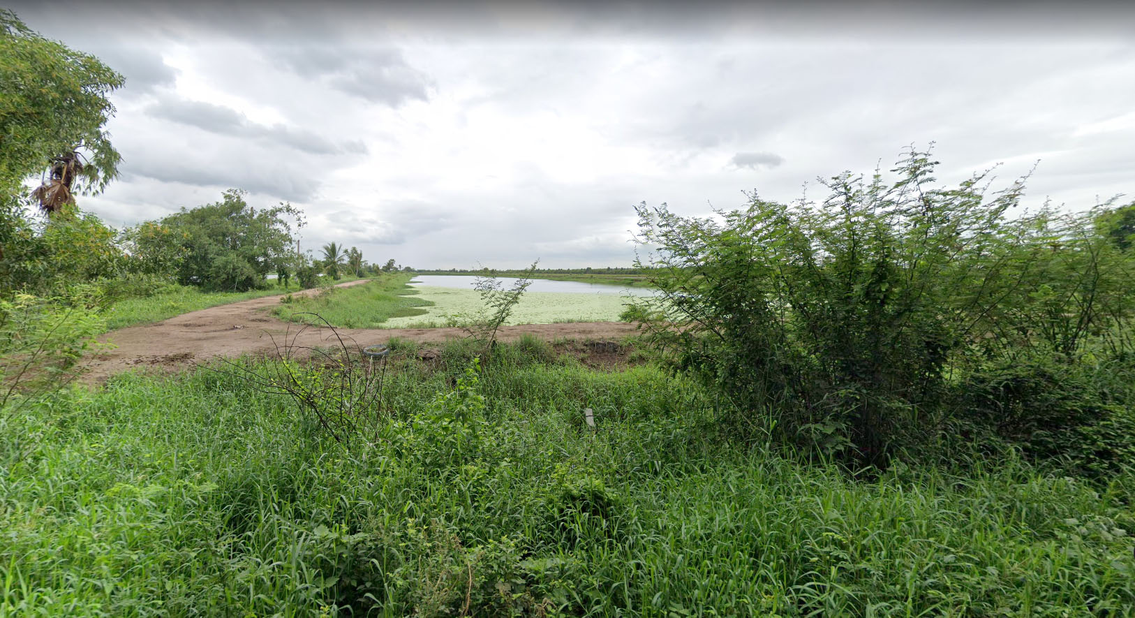 ประกาศฟรี! ซื้อ-ขาย-เช่า คอนโด บ้าน ทาวน์โฮม ที่ดิน และพื้นที่เชิงพาณิชย์ทั่วประเทศไทย ทุกทำเล ทุกงบประมาณ ไม่มีค่าใช้จ่าย ลงง่าย ขายไว เข้าถึงผู้ซื้อโดยตรง 2 294194pic1.jpg