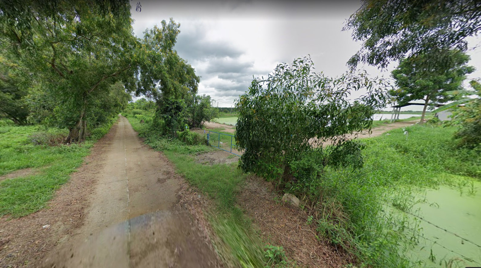 ประกาศฟรี! ซื้อ-ขาย-เช่า คอนโด บ้าน ทาวน์โฮม ที่ดิน และพื้นที่เชิงพาณิชย์ทั่วประเทศไทย ทุกทำเล ทุกงบประมาณ ไม่มีค่าใช้จ่าย ลงง่าย ขายไว เข้าถึงผู้ซื้อโดยตรง 3 294194pic2.jpg