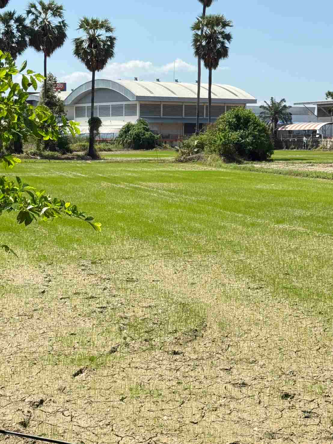 ประกาศฟรี! ซื้อ-ขาย-เช่า คอนโด บ้าน ทาวน์โฮม ที่ดิน และพื้นที่เชิงพาณิชย์ทั่วประเทศไทย ทุกทำเล ทุกงบประมาณ ไม่มีค่าใช้จ่าย ลงง่าย ขายไว เข้าถึงผู้ซื้อโดยตรง 3 316309pic2.jpg