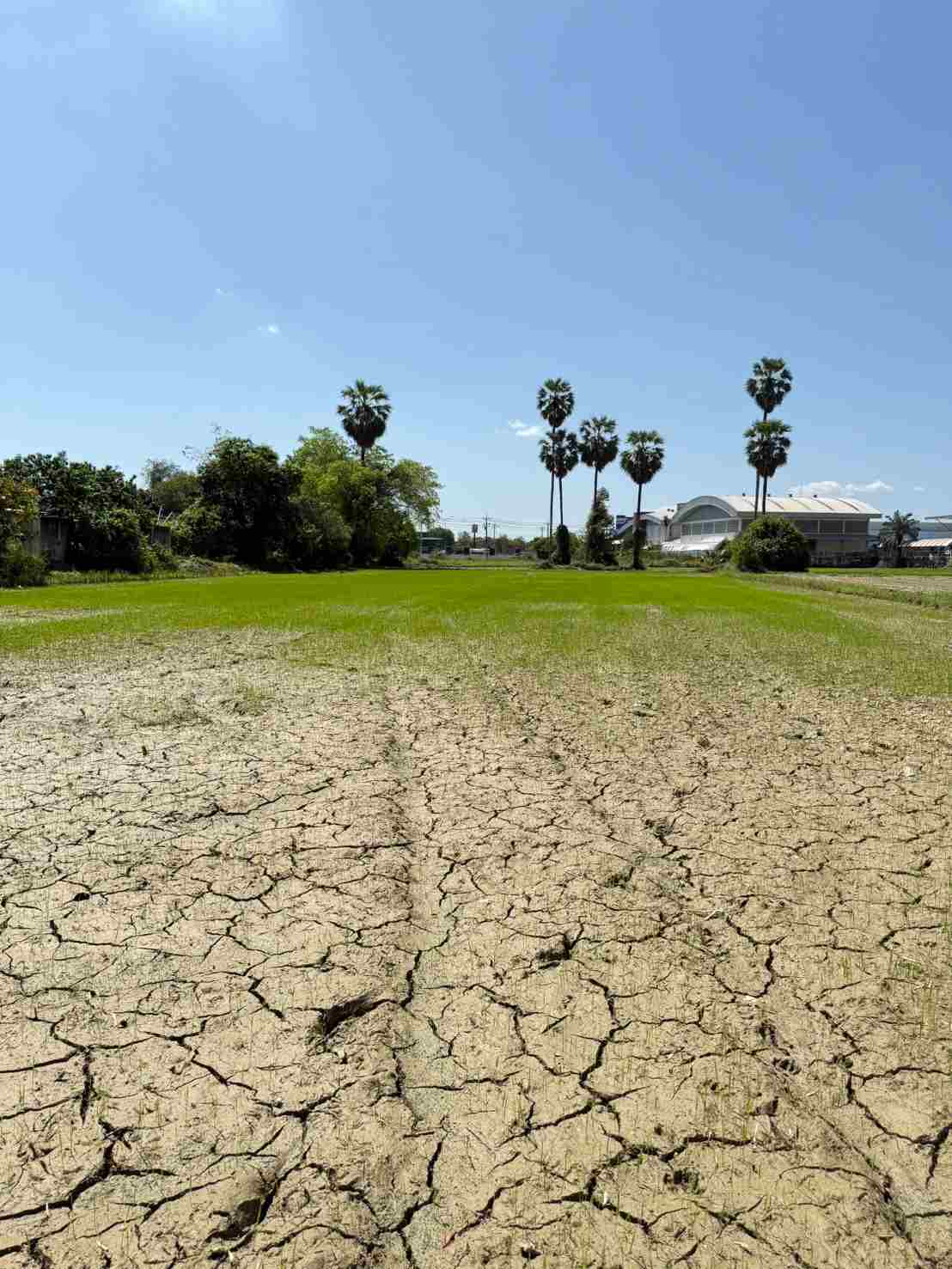 ประกาศฟรี! ซื้อ-ขาย-เช่า คอนโด บ้าน ทาวน์โฮม ที่ดิน และพื้นที่เชิงพาณิชย์ทั่วประเทศไทย ทุกทำเล ทุกงบประมาณ ไม่มีค่าใช้จ่าย ลงง่าย ขายไว เข้าถึงผู้ซื้อโดยตรง 5 316309pic4.jpg