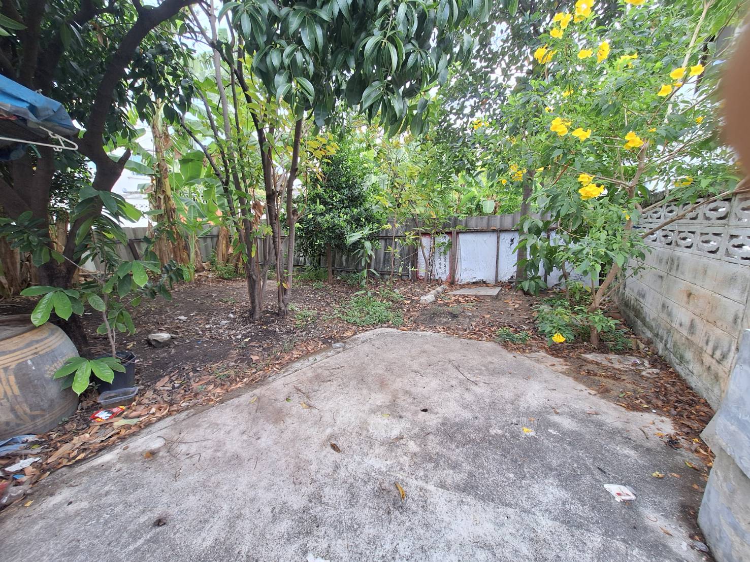 ประกาศฟรี! ซื้อ-ขาย-เช่า คอนโด บ้าน ทาวน์โฮม ที่ดิน และพื้นที่เชิงพาณิชย์ทั่วประเทศไทย ทุกทำเล ทุกงบประมาณ ไม่มีค่าใช้จ่าย ลงง่าย ขายไว เข้าถึงผู้ซื้อโดยตรง 2 294192pic1.jpg