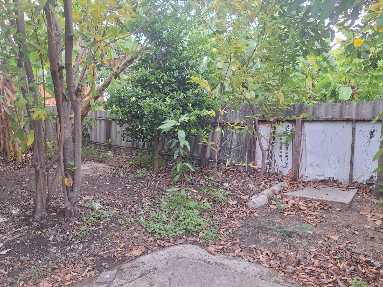 ประกาศฟรี! ซื้อ-ขาย-เช่า คอนโด บ้าน ทาวน์โฮม ที่ดิน และพื้นที่เชิงพาณิชย์ทั่วประเทศไทย ทุกทำเล ทุกงบประมาณ ไม่มีค่าใช้จ่าย ลงง่าย ขายไว เข้าถึงผู้ซื้อโดยตรง 4 294192pic3.jpg