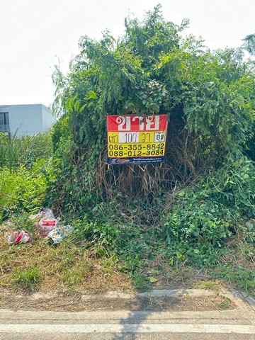 ประกาศฟรี! ซื้อ-ขาย-เช่า คอนโด บ้าน ทาวน์โฮม ที่ดิน และพื้นที่เชิงพาณิชย์ทั่วประเทศไทย ทุกทำเล ทุกงบประมาณ ไม่มีค่าใช้จ่าย ลงง่าย ขายไว เข้าถึงผู้ซื้อโดยตรง 2 516153pic1.jpg