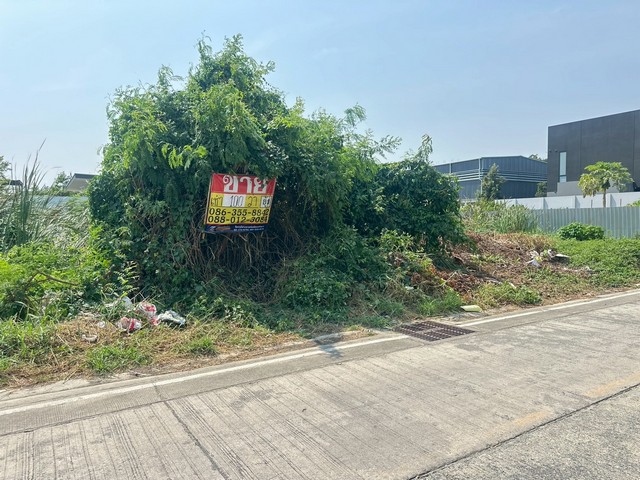 ประกาศฟรี! ซื้อ-ขาย-เช่า คอนโด บ้าน ทาวน์โฮม ที่ดิน และพื้นที่เชิงพาณิชย์ทั่วประเทศไทย ทุกทำเล ทุกงบประมาณ ไม่มีค่าใช้จ่าย ลงง่าย ขายไว เข้าถึงผู้ซื้อโดยตรง 3 516153pic2.jpg