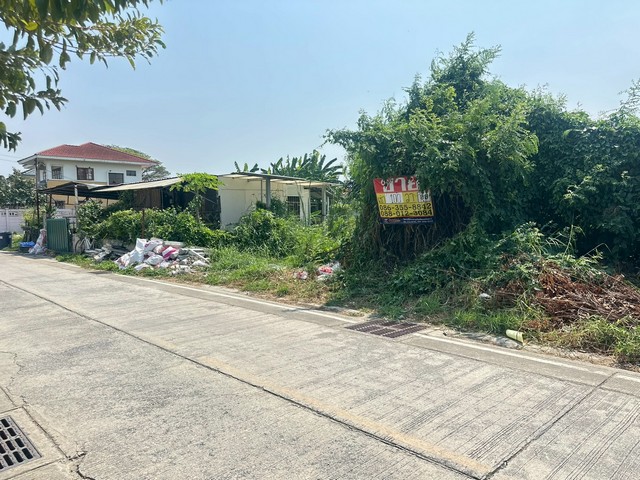 ประกาศฟรี! ซื้อ-ขาย-เช่า คอนโด บ้าน ทาวน์โฮม ที่ดิน และพื้นที่เชิงพาณิชย์ทั่วประเทศไทย ทุกทำเล ทุกงบประมาณ ไม่มีค่าใช้จ่าย ลงง่าย ขายไว เข้าถึงผู้ซื้อโดยตรง 4 516153pic3.jpg