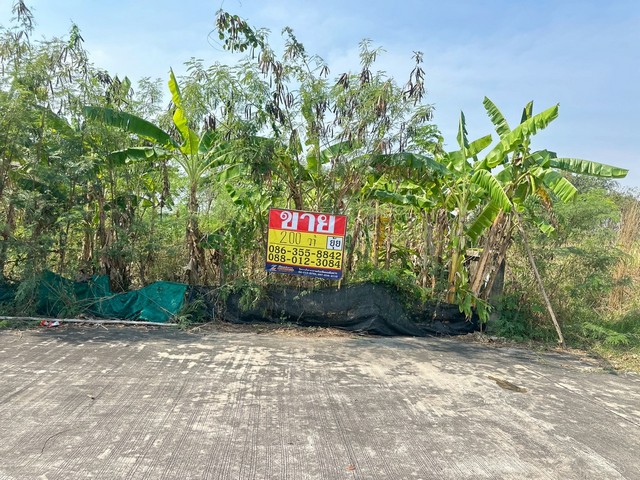 ประกาศฟรี! ซื้อ-ขาย-เช่า คอนโด บ้าน ทาวน์โฮม ที่ดิน และพื้นที่เชิงพาณิชย์ทั่วประเทศไทย ทุกทำเล ทุกงบประมาณ ไม่มีค่าใช้จ่าย ลงง่าย ขายไว เข้าถึงผู้ซื้อโดยตรง 2 516142pic1.jpg