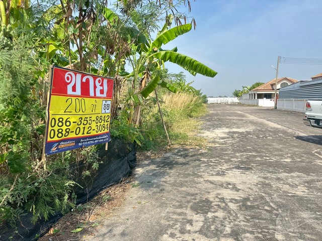 ประกาศฟรี! ซื้อ-ขาย-เช่า คอนโด บ้าน ทาวน์โฮม ที่ดิน และพื้นที่เชิงพาณิชย์ทั่วประเทศไทย ทุกทำเล ทุกงบประมาณ ไม่มีค่าใช้จ่าย ลงง่าย ขายไว เข้าถึงผู้ซื้อโดยตรง 3 516142pic2.jpg