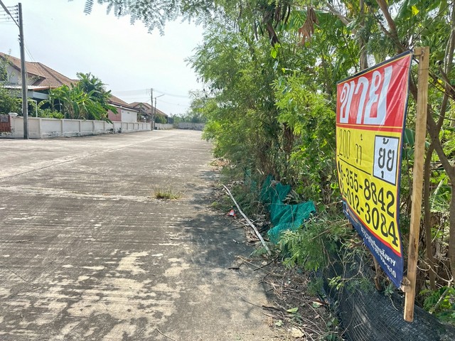 ประกาศฟรี! ซื้อ-ขาย-เช่า คอนโด บ้าน ทาวน์โฮม ที่ดิน และพื้นที่เชิงพาณิชย์ทั่วประเทศไทย ทุกทำเล ทุกงบประมาณ ไม่มีค่าใช้จ่าย ลงง่าย ขายไว เข้าถึงผู้ซื้อโดยตรง 4 516142pic3.jpg