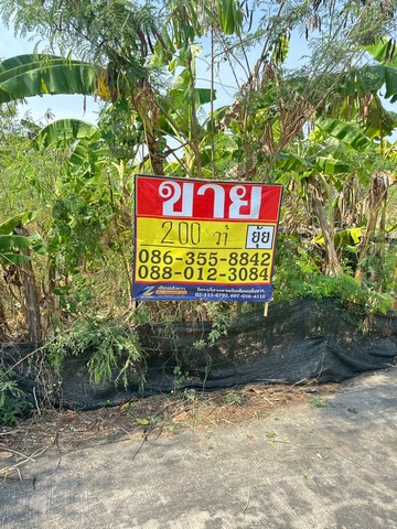 ประกาศฟรี! ซื้อ-ขาย-เช่า คอนโด บ้าน ทาวน์โฮม ที่ดิน และพื้นที่เชิงพาณิชย์ทั่วประเทศไทย ทุกทำเล ทุกงบประมาณ ไม่มีค่าใช้จ่าย ลงง่าย ขายไว เข้าถึงผู้ซื้อโดยตรง 5 516142pic4.jpg