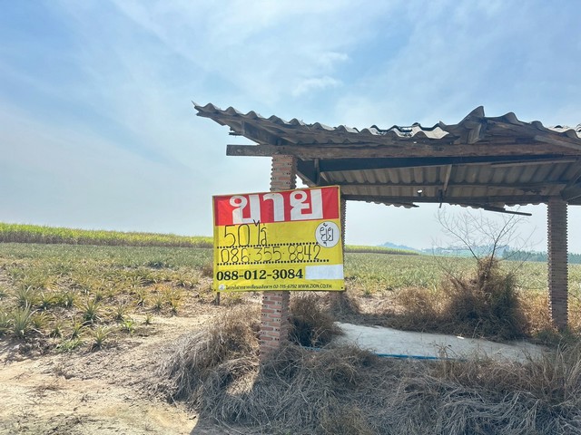 ประกาศฟรี! ซื้อ-ขาย-เช่า คอนโด บ้าน ทาวน์โฮม ที่ดิน และพื้นที่เชิงพาณิชย์ทั่วประเทศไทย ทุกทำเล ทุกงบประมาณ ไม่มีค่าใช้จ่าย ลงง่าย ขายไว เข้าถึงผู้ซื้อโดยตรง 2 516136pic1.jpg