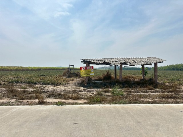 ประกาศฟรี! ซื้อ-ขาย-เช่า คอนโด บ้าน ทาวน์โฮม ที่ดิน และพื้นที่เชิงพาณิชย์ทั่วประเทศไทย ทุกทำเล ทุกงบประมาณ ไม่มีค่าใช้จ่าย ลงง่าย ขายไว เข้าถึงผู้ซื้อโดยตรง 3 516136pic2.jpg