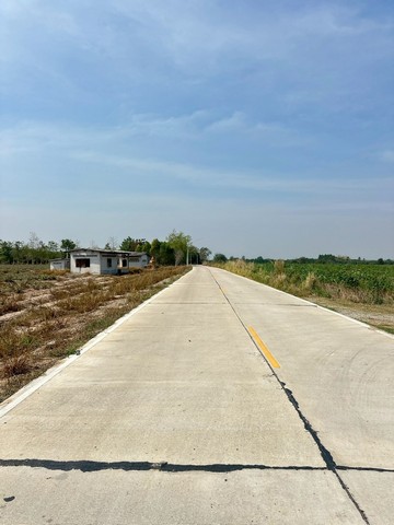 ประกาศฟรี! ซื้อ-ขาย-เช่า คอนโด บ้าน ทาวน์โฮม ที่ดิน และพื้นที่เชิงพาณิชย์ทั่วประเทศไทย ทุกทำเล ทุกงบประมาณ ไม่มีค่าใช้จ่าย ลงง่าย ขายไว เข้าถึงผู้ซื้อโดยตรง 5 516136pic4.jpg