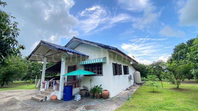 ประกาศฟรี! ซื้อ-ขาย-เช่า คอนโด บ้าน ทาวน์โฮม ที่ดิน และพื้นที่เชิงพาณิชย์ทั่วประเทศไทย ทุกทำเล ทุกงบประมาณ ไม่มีค่าใช้จ่าย ลงง่าย ขายไว เข้าถึงผู้ซื้อโดยตรง 2 219004pic1.jpg