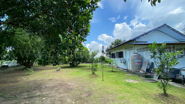 ประกาศฟรี! ซื้อ-ขาย-เช่า คอนโด บ้าน ทาวน์โฮม ที่ดิน และพื้นที่เชิงพาณิชย์ทั่วประเทศไทย ทุกทำเล ทุกงบประมาณ ไม่มีค่าใช้จ่าย ลงง่าย ขายไว เข้าถึงผู้ซื้อโดยตรง 3 219004pic2.jpg