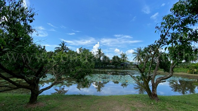 ประกาศฟรี! ซื้อ-ขาย-เช่า คอนโด บ้าน ทาวน์โฮม ที่ดิน และพื้นที่เชิงพาณิชย์ทั่วประเทศไทย ทุกทำเล ทุกงบประมาณ ไม่มีค่าใช้จ่าย ลงง่าย ขายไว เข้าถึงผู้ซื้อโดยตรง 4 219004pic3.jpg