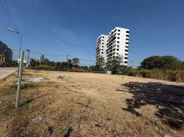 ประกาศฟรี! ซื้อ-ขาย-เช่า คอนโด บ้าน ทาวน์โฮม ที่ดิน และพื้นที่เชิงพาณิชย์ทั่วประเทศไทย ทุกทำเล ทุกงบประมาณ ไม่มีค่าใช้จ่าย ลงง่าย ขายไว เข้าถึงผู้ซื้อโดยตรง 5 298085pic4.jpg