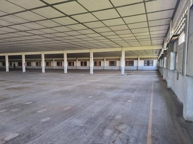 ประกาศฟรี! ซื้อ-ขาย-เช่า คอนโด บ้าน ทาวน์โฮม ที่ดิน และพื้นที่เชิงพาณิชย์ทั่วประเทศไทย ทุกทำเล ทุกงบประมาณ ไม่มีค่าใช้จ่าย ลงง่าย ขายไว เข้าถึงผู้ซื้อโดยตรง 2 516312pic1.jpg