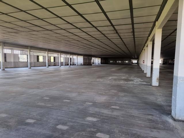 ประกาศฟรี! ซื้อ-ขาย-เช่า คอนโด บ้าน ทาวน์โฮม ที่ดิน และพื้นที่เชิงพาณิชย์ทั่วประเทศไทย ทุกทำเล ทุกงบประมาณ ไม่มีค่าใช้จ่าย ลงง่าย ขายไว เข้าถึงผู้ซื้อโดยตรง 3 516312pic2.jpg