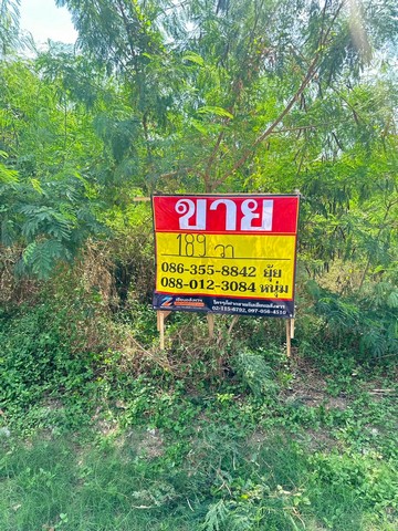 ประกาศฟรี! ซื้อ-ขาย-เช่า คอนโด บ้าน ทาวน์โฮม ที่ดิน และพื้นที่เชิงพาณิชย์ทั่วประเทศไทย ทุกทำเล ทุกงบประมาณ ไม่มีค่าใช้จ่าย ลงง่าย ขายไว เข้าถึงผู้ซื้อโดยตรง 2 516317pic1.jpg