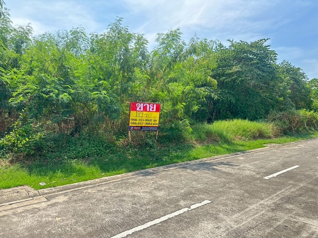 ประกาศฟรี! ซื้อ-ขาย-เช่า คอนโด บ้าน ทาวน์โฮม ที่ดิน และพื้นที่เชิงพาณิชย์ทั่วประเทศไทย ทุกทำเล ทุกงบประมาณ ไม่มีค่าใช้จ่าย ลงง่าย ขายไว เข้าถึงผู้ซื้อโดยตรง 3 516317pic2.jpg