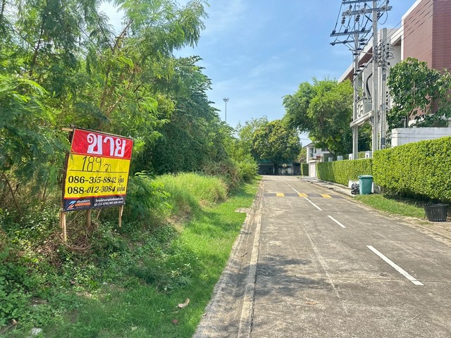 ประกาศฟรี! ซื้อ-ขาย-เช่า คอนโด บ้าน ทาวน์โฮม ที่ดิน และพื้นที่เชิงพาณิชย์ทั่วประเทศไทย ทุกทำเล ทุกงบประมาณ ไม่มีค่าใช้จ่าย ลงง่าย ขายไว เข้าถึงผู้ซื้อโดยตรง 4 516317pic3.jpg