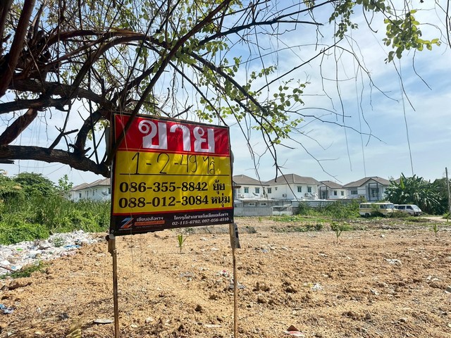 ประกาศฟรี! ซื้อ-ขาย-เช่า คอนโด บ้าน ทาวน์โฮม ที่ดิน และพื้นที่เชิงพาณิชย์ทั่วประเทศไทย ทุกทำเล ทุกงบประมาณ ไม่มีค่าใช้จ่าย ลงง่าย ขายไว เข้าถึงผู้ซื้อโดยตรง 2 516310pic1.jpg