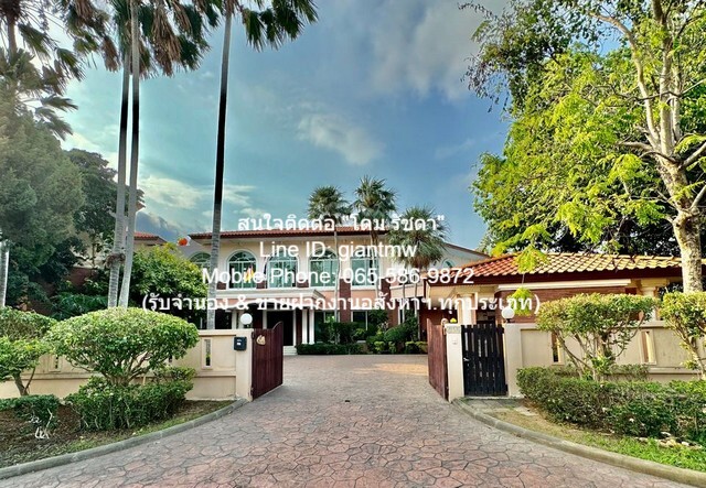 ประกาศฟรี! ซื้อ-ขาย-เช่า คอนโด บ้าน ทาวน์โฮม ที่ดิน และพื้นที่เชิงพาณิชย์ทั่วประเทศไทย ทุกทำเล ทุกงบประมาณ ไม่มีค่าใช้จ่าย ลงง่าย ขายไว เข้าถึงผู้ซื้อโดยตรง 3 16815pic2.jpg