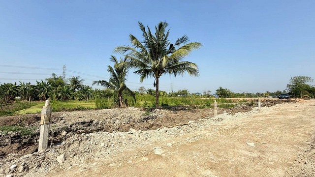 ประกาศฟรี! ซื้อ-ขาย-เช่า คอนโด บ้าน ทาวน์โฮม ที่ดิน และพื้นที่เชิงพาณิชย์ทั่วประเทศไทย ทุกทำเล ทุกงบประมาณ ไม่มีค่าใช้จ่าย ลงง่าย ขายไว เข้าถึงผู้ซื้อโดยตรง 2 516340pic1.jpg