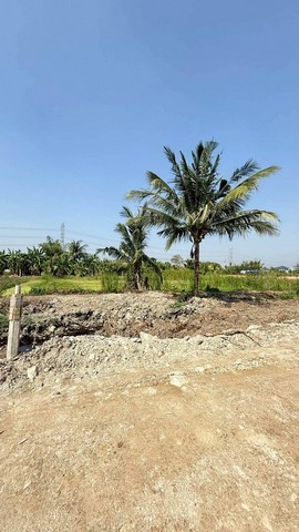 ประกาศฟรี! ซื้อ-ขาย-เช่า คอนโด บ้าน ทาวน์โฮม ที่ดิน และพื้นที่เชิงพาณิชย์ทั่วประเทศไทย ทุกทำเล ทุกงบประมาณ ไม่มีค่าใช้จ่าย ลงง่าย ขายไว เข้าถึงผู้ซื้อโดยตรง 3 516340pic2.jpg