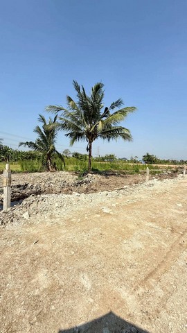 ประกาศฟรี! ซื้อ-ขาย-เช่า คอนโด บ้าน ทาวน์โฮม ที่ดิน และพื้นที่เชิงพาณิชย์ทั่วประเทศไทย ทุกทำเล ทุกงบประมาณ ไม่มีค่าใช้จ่าย ลงง่าย ขายไว เข้าถึงผู้ซื้อโดยตรง 4 516340pic3.jpg