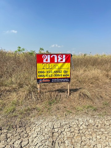 ประกาศฟรี! ซื้อ-ขาย-เช่า คอนโด บ้าน ทาวน์โฮม ที่ดิน และพื้นที่เชิงพาณิชย์ทั่วประเทศไทย ทุกทำเล ทุกงบประมาณ ไม่มีค่าใช้จ่าย ลงง่าย ขายไว เข้าถึงผู้ซื้อโดยตรง 2 516333pic1.jpg