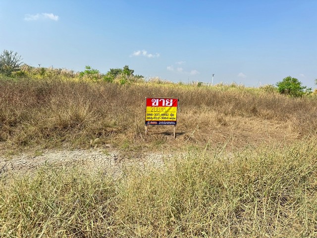 ประกาศฟรี! ซื้อ-ขาย-เช่า คอนโด บ้าน ทาวน์โฮม ที่ดิน และพื้นที่เชิงพาณิชย์ทั่วประเทศไทย ทุกทำเล ทุกงบประมาณ ไม่มีค่าใช้จ่าย ลงง่าย ขายไว เข้าถึงผู้ซื้อโดยตรง 3 516333pic2.jpg