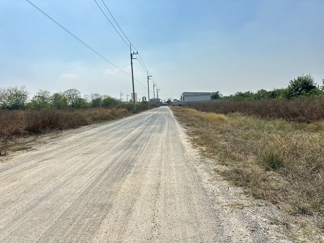 ประกาศฟรี! ซื้อ-ขาย-เช่า คอนโด บ้าน ทาวน์โฮม ที่ดิน และพื้นที่เชิงพาณิชย์ทั่วประเทศไทย ทุกทำเล ทุกงบประมาณ ไม่มีค่าใช้จ่าย ลงง่าย ขายไว เข้าถึงผู้ซื้อโดยตรง 5 516333pic4.jpg