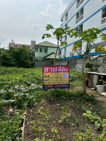 ประกาศฟรี! ซื้อ-ขาย-เช่า คอนโด บ้าน ทาวน์โฮม ที่ดิน และพื้นที่เชิงพาณิชย์ทั่วประเทศไทย ทุกทำเล ทุกงบประมาณ ไม่มีค่าใช้จ่าย ลงง่าย ขายไว เข้าถึงผู้ซื้อโดยตรง 3 516329pic2.jpg