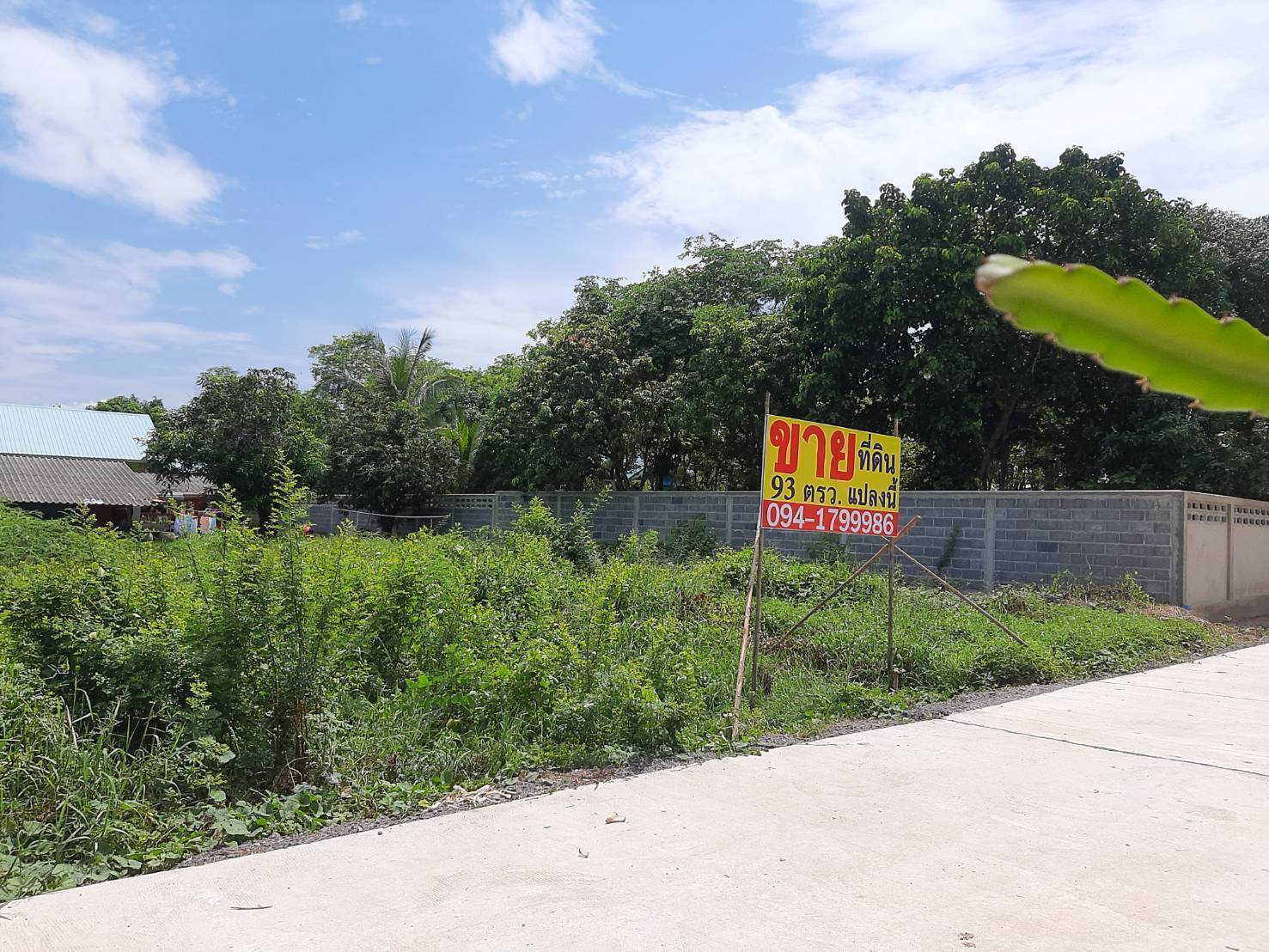 ประกาศฟรี! ซื้อ-ขาย-เช่า คอนโด บ้าน ทาวน์โฮม ที่ดิน และพื้นที่เชิงพาณิชย์ทั่วประเทศไทย ทุกทำเล ทุกงบประมาณ ไม่มีค่าใช้จ่าย ลงง่าย ขายไว เข้าถึงผู้ซื้อโดยตรง 2 294200pic1.jpg